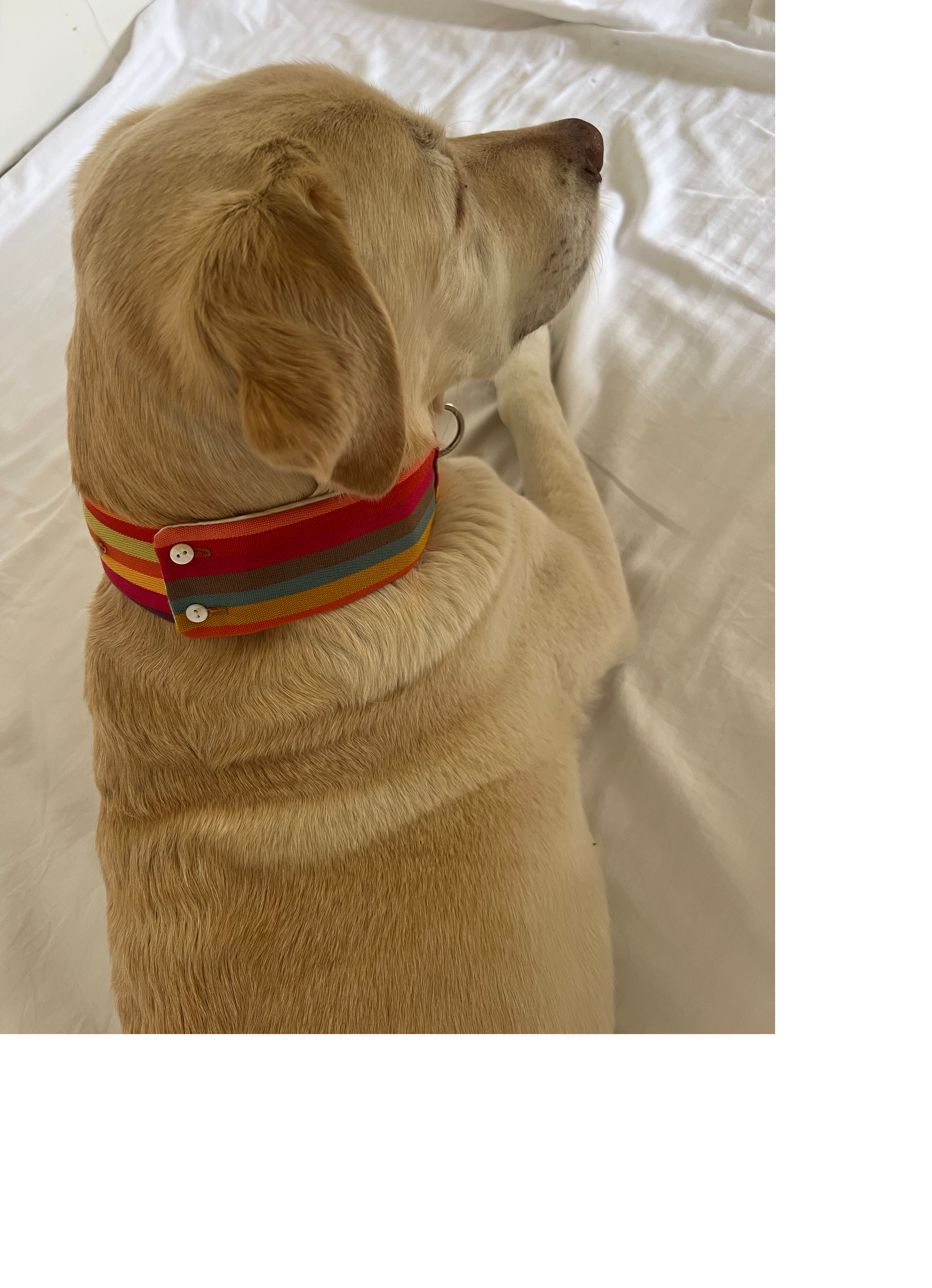 Sonnenuntergang zum Anlegen